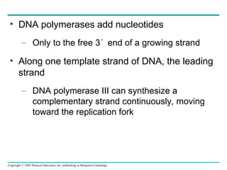 16-molecularinheritance lecture text.ppt