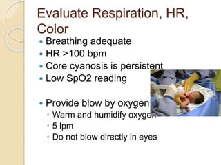 Evaluate Respiration, HR,
Color
 Breathing adequate
 HR >100 bpm
 Core cyanosis is persistent
 Low SpO2 reading
 Provide blow by oxygen
◦ Warm and humidify oxygen
◦ 5 lpm
◦ Do not blow directly in eyes
 