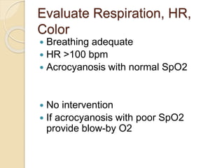 Evaluate Respiration, HR,
Color
 Breathing adequate
 HR >100 bpm
 Acrocyanosis with normal SpO2
 No intervention
 If acrocyanosis with poor SpO2
provide blow-by O2
 