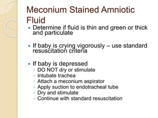 Meconium Stained Amniotic
Fluid
 Determine if fluid is thin and green or thick
and particulate
 If baby is crying vigorously – use standard
resuscitation criteria
 If baby is depressed
◦ DO NOT dry or stimulate
◦ Intubate trachea
◦ Attach a meconium aspirator
◦ Apply suction to endotracheal tube
◦ Dry and stimulate
◦ Continue with standard resuscitation
 