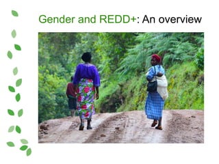 Gender and REDD+: An overview
 