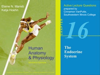 Human 
Anatomy 
& Physiology 
SEVENTH EDITION 
Elaine N. Marieb 
Katja Hoehn 
Copyright © 2006 Pearson Education, Inc., publishing as Benjamin Cummings 
Active Lecture Questions 
prepared by 
Cinnamon VanPutte, 
Southwestern Illinois College C H A P T E R 
16 
The 
Endocrine 
System 
 