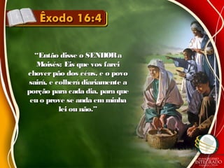 ““Então disse o SENHORaEntão disse o SENHORa
Moisés: Eis que vos fareiMoisés: Eis que vos farei
choverpão dos céus, e o povochoverpão dos céus, e o povo
sairá, e colherá diariamente asairá, e colherá diariamente a
porção para cada dia, para queporção para cada dia, para que
eu o prove se anda em minhaeu o prove se anda em minha
lei ou não.”lei ou não.”
 