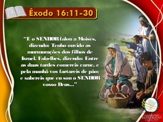 ““E o SENHORfalou a Moisés,E o SENHORfalou a Moisés,
dizendo: Tenho ouvido asdizendo: Tenho ouvido as
murmurações dos filhos demurmurações dos filhos de
Israel. Fala-lhes, dizendo: EntreIsrael. Fala-lhes, dizendo: Entre
as duas tardes comereis carne, eas duas tardes comereis carne, e
pela manhã vos fartareis de pão;pela manhã vos fartareis de pão;
e sabereis que eu sou o SENHORe sabereis que eu sou o SENHOR
vosso Deus...”vosso Deus...”
 