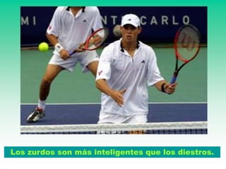 Los zurdos son más inteligentes que los diestros.
 