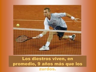 Los diestros viven, en
promedio, 9 años más que los
           zurdos.
 