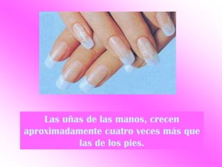 Las uñas de las manos, crecen
aproximadamente cuatro veces más que
           las de los pies.
 