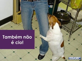 Também não
é cio!
 