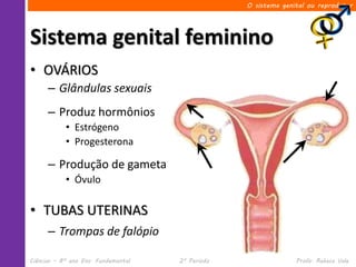 O sistema genital ou reprodutor




Sistema genital feminino
• OVÁRIOS
      – Glândulas sexuais
      – Produz hormônios
            • Estrógeno
            • Progesterona

      – Produção de gameta
            • Óvulo

• TUBAS UTERINAS
      – Trompas de falópio

Ciências – 8º ano Ens. Fundamental   2º Período                 Profa. Rebeca Vale
 