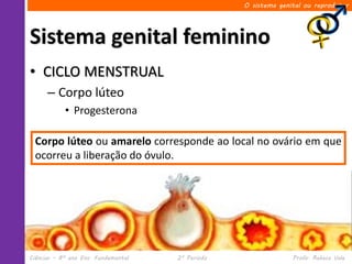 O sistema genital ou reprodutor




Sistema genital feminino
• CICLO MENSTRUAL
      – Corpo lúteo
            • Progesterona

  Corpo lúteo ou amarelo corresponde ao local no ovário em que
  ocorreu a liberação do óvulo.




Ciências – 8º ano Ens. Fundamental   2º Período                 Profa. Rebeca Vale
 