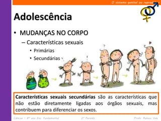 O sistema genital ou reprodutor




Adolescência
• MUDANÇAS NO CORPO
      – Características sexuais
            • Primárias
            • Secundárias




 Características sexuais secundárias são as características que
 não estão diretamente ligadas aos órgãos sexuais, mas
 contribuem para diferenciar os sexos.
Ciências – 8º ano Ens. Fundamental   2º Período                 Profa. Rebeca Vale
 