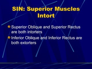 SIN: Superior Muscles
Intort
Superior Oblique and Superior Rectus
are both intorters
Inferior Oblique and Inferior Rectus are
both extorters
 