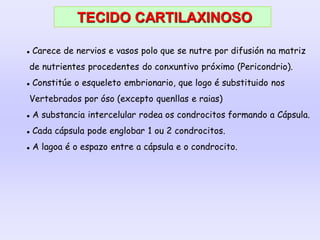  Carece de nervios e vasos polo que se nutre por difusión na matriz
de nutrientes procedentes do conxuntivo próximo (Pericondrio).
 Constitúe o esqueleto embrionario, que logo é substituido nos
Vertebrados por óso (excepto quenllas e raias)
 A substancia intercelular rodea os condrocitos formando a Cápsula.
 Cada cápsula pode englobar 1 ou 2 condrocitos.
 A lagoa é o espazo entre a cápsula e o condrocito.
TECIDO CARTILAXINOSO
 
