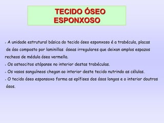 TECIDO ÓSEO
ESPONXOSO
 A unidade estrutural básica do tecido óseo esponxoso é a trabécula, placas
de óso composto por laminillas óseas irregulares que deixan amplos espazos
recheos de médula ósea vermella.
 Os osteocitos atópanse no interior destas trabéculas.
 Os vasos sanguíneos chegan ao interior deste tecido nutrindo as células.
 O tecido óseo esponsoxo forma as epífises dos ósos longos e o interior doutros
ósos.
 