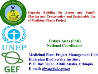 Capacity Building for Access and Benefit 
Sharing and Conservation and Sustainable Use 
of Medicinal Plants Project 
Tesfaye Awas (PhD) 
National Coordinator 
Medicinal Plant Project Management Unit 
Ethiopian Biodiversity Institute 
P. O. Box 30726, Addis Ababa, Ethiopia 
E-mail: absmp@ibc.gov.et 
 