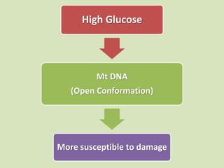 High Glucose
Mt DNA
(Open Conformation)
More susceptible to damage
 