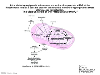 Intracellular hyperglycemia induces overproduction of superoxide, a ROS, at the
mitochondrial level as a possible cause of the metabolic memory of hyperglycemic stress
after glucose normalization.
Ceriello A et al. JCEM 2009;94:410-415
©2009 by Endocrine Society
 