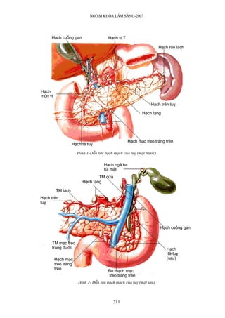 NGOẠI KHOA LÂM SÀNG-2007




Hình 1-Dẫn lưu bạch mạch của tuỵ (mặt trước)




Hình 2- Dẫn lưu bạch mạch của tuỵ (mặt sau)
...