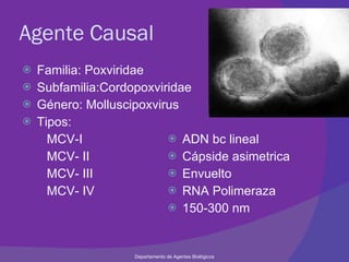 Agente Causal Familia: Poxviridae Subfamilia:Cordopoxviridae Género: Molluscipoxvirus Tipos:  MCV-I MCV- II MCV- III MCV- IV ADN bc lineal Cápside asimetrica Envuelto RNA Polimeraza 150-300 nm Departamento de Agentes Biológicos 