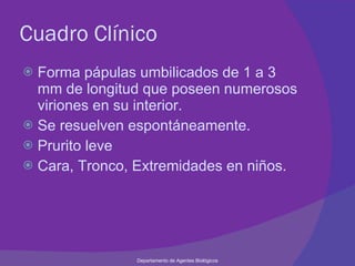 Cuadro Clínico Forma pápulas umbilicados de 1 a 3 mm de longitud que poseen numerosos viriones en su interior. Se resuelven espontáneamente. Prurito leve Cara, Tronco, Extremidades en niños. Departamento de Agentes Biológicos 
