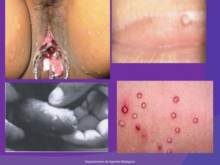 Departamento de Agentes Biológicos