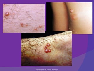 Departamento de Agentes Biológicos 