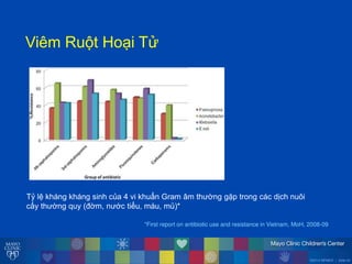 ©2014 MFMER | slide-20
ViêmăRu tăHo iăT
Tỷălệăkhángăkhángăsinhăcủaă4ăviăkhuẩnăGramăâmăth ờngăgặpătrongăcácădịchănuôiă
cấyăth ờngăquyă(đờm,ăn ớcătiểu,ămáu,ămủ)*
*First report on antibiotic use and resistance in Vietnam, MoH, 2008-09
 