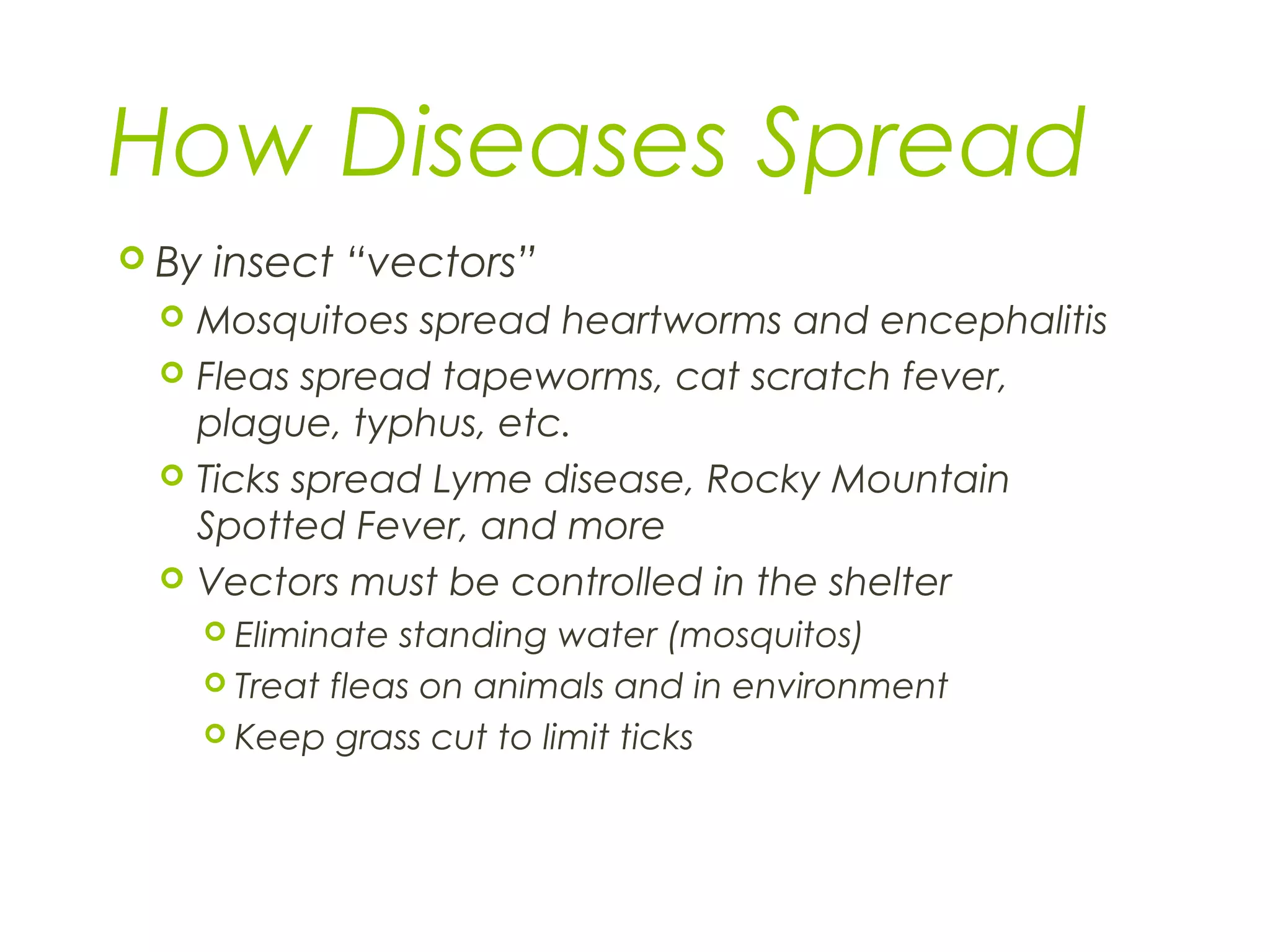 How Diseases Spread
 By insect “vectors”
 Mosquitoes spread heartworms and encephalitis
 Fleas spread tapeworms, cat scratch fever,
plague, typhus, etc.
 Ticks spread Lyme disease, Rocky Mountain
Spotted Fever, and more
 Vectors must be controlled in the shelter
 Eliminate standing water (mosquitos)
 Treat fleas on animals and in environment
 Keep grass cut to limit ticks
 