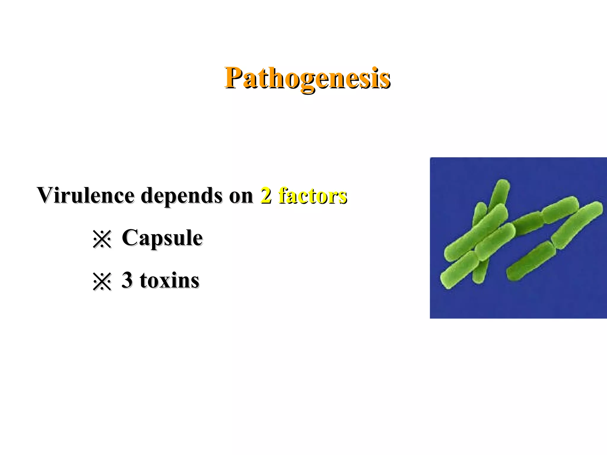 PathogenesisPathogenesis
Virulence depends onVirulence depends on 2 factors2 factors
※※ CapsuleCapsule
※※ 3 toxins3 toxins
 