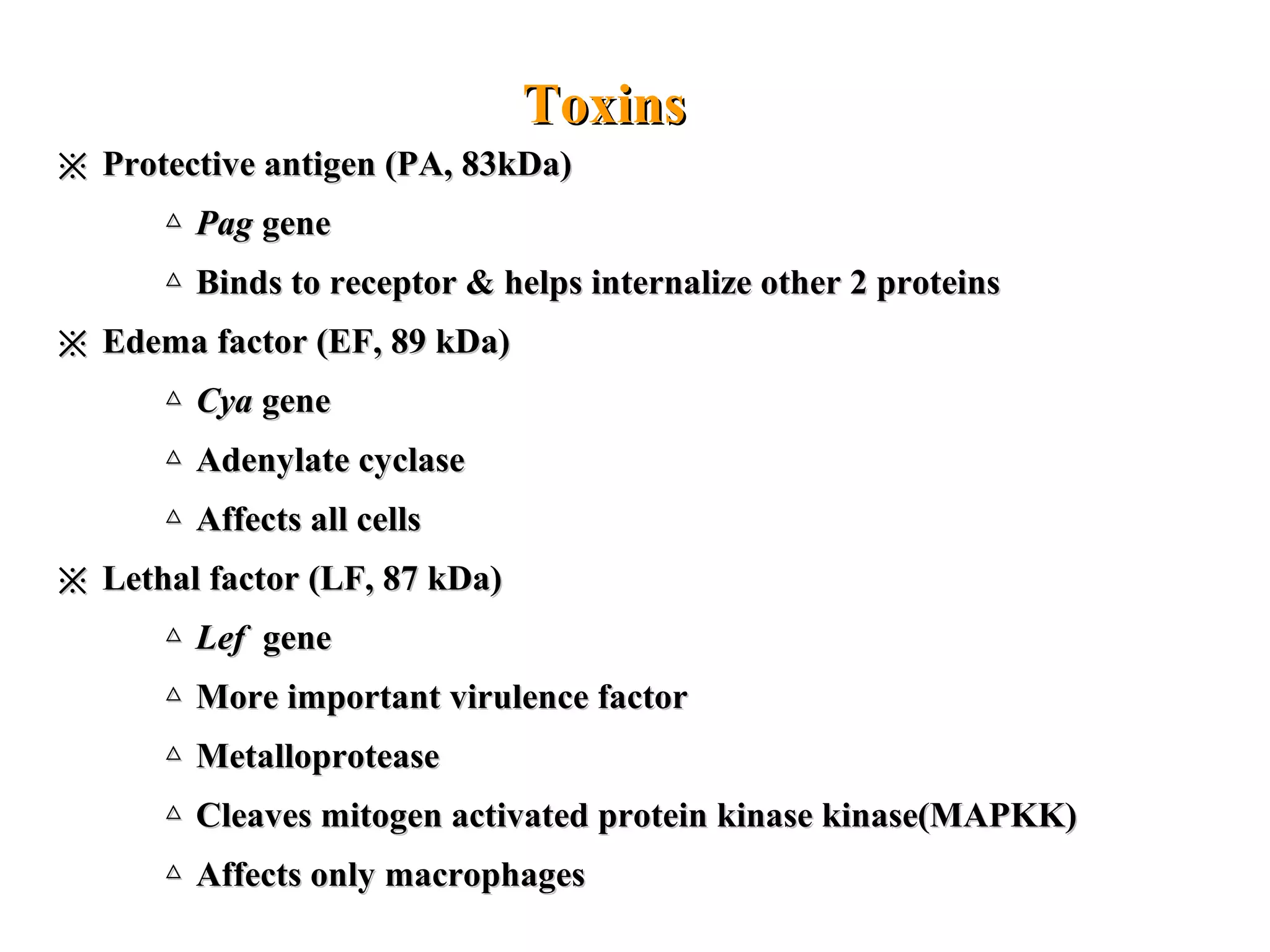 ※※ Protective antigen (PA, 83kDa)Protective antigen (PA, 83kDa)
△△ PagPag genegene
△△ Binds to receptor & helps internalize other 2 proteinsBinds to receptor & helps internalize other 2 proteins
※※ Edema factor (EF, 89 kDa)Edema factor (EF, 89 kDa)
△△ CyaCya genegene
△△ Adenylate cyclaseAdenylate cyclase
△△ Affects all cellsAffects all cells
※※ Lethal factor (LF, 87 kDa)Lethal factor (LF, 87 kDa)
△△ LefLef genegene
△△ More important virulence factorMore important virulence factor
△△ MetalloproteaseMetalloprotease
△△ Cleaves mitogen activated protein kinase kinase(MAPKK)Cleaves mitogen activated protein kinase kinase(MAPKK)
△△ Affects only macrophagesAffects only macrophages
ToxinsToxins
 