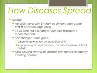 How Diseases Spread
 Aerosol
 Aerosols travel only 3-4 feet, so dividers [d 'va d z]ə ɪ ə
分隔物 between cages help
 12-15 fresh “air exchanges” per hour minimum is
recommended
 “Air change” is also good
 Open windows or fan brings outside air in
 After moving through the room, another fan blows air back
outside
 Fans blowing directly on animals can spread disease by
creating aerosols
 