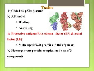 ToxinsToxins
※ Coded by pX01 plasmid
※ AB model
△ Binding
△ Activating
※ Protective antigen (PA), edema factor (EF) & lethal
factor (LF)
△ Make up 50% of proteins in the organism
※ Heterogeneous protein complex made up of 3
components
 