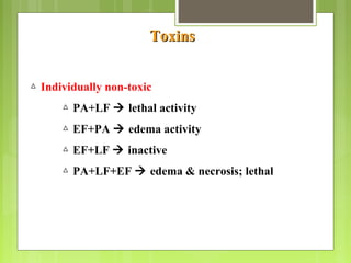 ToxinsToxins
△ Individually non-toxic
△ PA+LF  lethal activity
△ EF+PA  edema activity
△ EF+LF  inactive
△ PA+LF+EF  edema & necrosis; lethal
 