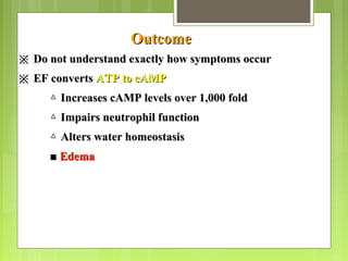 OutcomeOutcome
※※ Do not understand exactly how symptoms occurDo not understand exactly how symptoms occur
※※ EF convertsEF converts ATP to cAMPATP to cAMP
△△ Increases cAMP levels over 1,000 foldIncreases cAMP levels over 1,000 fold
△△ Impairs neutrophil functionImpairs neutrophil function
△△ Alters water homeostasisAlters water homeostasis
■■ EdemaEdema
 