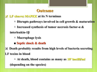 OutcomeOutcome
※※ LF cleaves MAPKKLF cleaves MAPKK at its N terminusat its N terminus
△△ Disrupts pathways involved in cell growth & maturationDisrupts pathways involved in cell growth & maturation
△△ Increased synthesis of tumor necrosis factor-Increased synthesis of tumor necrosis factor-αα &&
interleukin-1interleukin-1ββ
△△ Macrophage lysisMacrophage lysis
■■ Septic shock & deathSeptic shock & death
※※ Death probably results from high levels of bacteria secretingDeath probably results from high levels of bacteria secreting
LF toxins in bloodLF toxins in blood
△△ At death, blood contains as many asAt death, blood contains as many as 101099
bacilli/mlbacilli/ml
(depending on the species)(depending on the species)
 