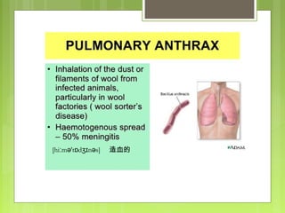 [hi m 't d n s]ː ə ɒ ʒɪ ə 造血的
 