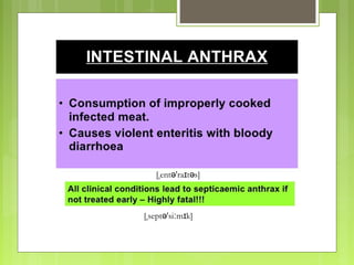 [ sept 'si m k]ˌ ə ː ɪ
[ ent 'ra t s]ˌ ə ɪ ə
 
