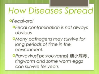 How Diseases Spread
Fecal-oral
Fecal contamination is not always
obvious
Many pathogens may survive for
long periods of time in the
environment.
Parvovirus['p vo va r s]ɑː ʊˌ ɪ ə 细小病毒 ,
ringworm and some worm eggs
can survive for years
 