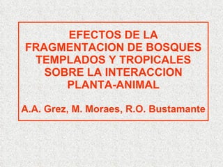 EFECTOS DE LA FRAGMENTACION DE BOSQUES TEMPLADOS Y TROPICALES SOBRE LA INTERACCION PLANTA-ANIMAL A.A. Grez, M. Moraes, R.O. Bustamante 
