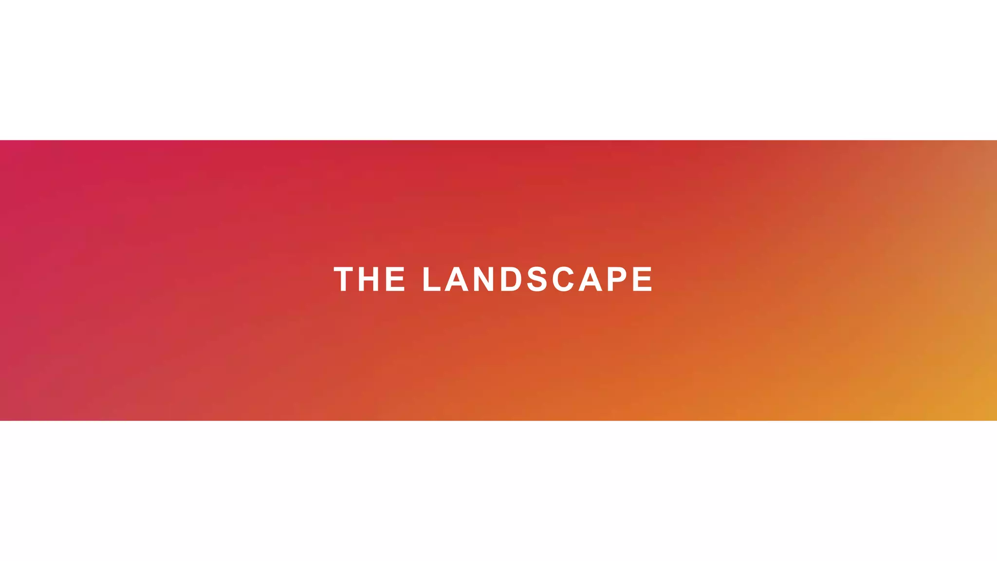 THE LANDSCAPE
 