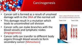 Carcinogenesis
• Cancer cell is formed as a result of unsolved
damage with in the DNA of the normal cell
• This damage result in a mutation which
leads to uncontrolled cell division
• Cancer cells can make branches with the
blood vessels and lymphatic nodes
(Angiogenesis)
• Cancer cells can transfer to different body
organs through blood vessels to form
secondary cancer (Metastasis)
 