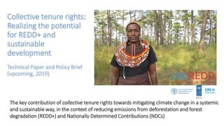 Collective tenure rights:
Realizing the potential
for REDD+ and
sustainable
development
Technical Paper and Policy Brief
(upcoming, 2019)
The key contribution of collective tenure rights towards mitigating climate change in a systemic
and sustainable way, in the context of reducing emissions from deforestation and forest
degradation (REDD+) and Nationally Determined Contributions (NDCs)
 