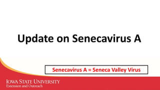 Update on Senecavirus A
Senecavirus A = Seneca Valley Virus
 