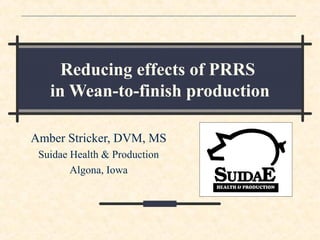 Amber Stricker, DVM, MS
Suidae Health & Production
Algona, Iowa
Reducing effects of PRRS
in Wean-to-finish production
 