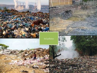 Environmental Pollution