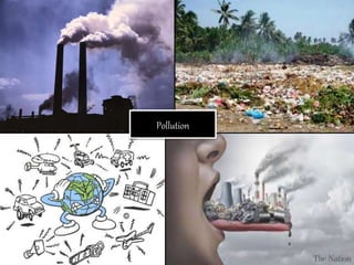 Environmental Pollution
