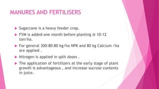 MANURES AND FERTILISERS
 Sugarcane is a heavy feeder crop.
 FYM is added one month before planting @ 10-12
ton/ha.
 For general 300:80:80 kg/ha NPK and 80 kg Calcium /ha
are applied .
 Nitrogen is applied in split doses .
 The application of fertilizers at the early stage of plant
growth is advantageous , and increase sucrose contents
in juice.
 