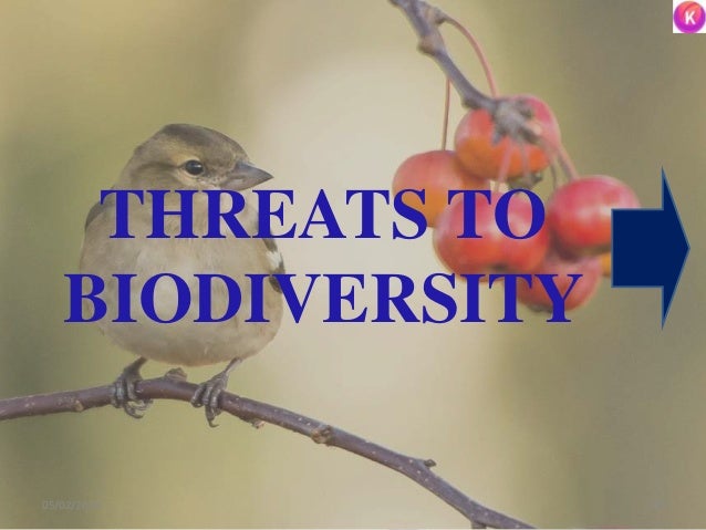 THREATS TO
BIODIVERSITY
3305/02/2019
 