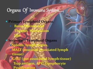 Cells And Organ of Immune System and Their Functions | PPTX