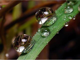 Ученики 41 года